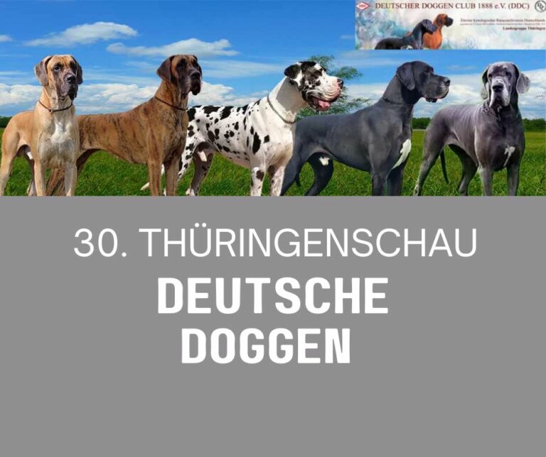 12.05.24 Thüringenschau Deutsche Doggen