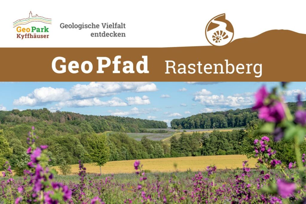 GeoPfad, Kyffhäuser, Rastenberg, Naturlehrpfad, Geologie, Natur, Wandern, Wanderweg, Naturpfad, Urwald