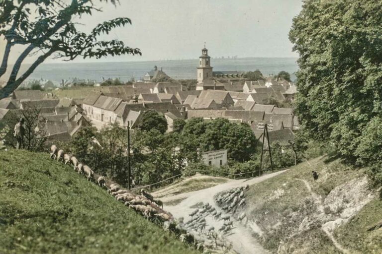 Rastenberg-Stadtansicht vom Burgberg