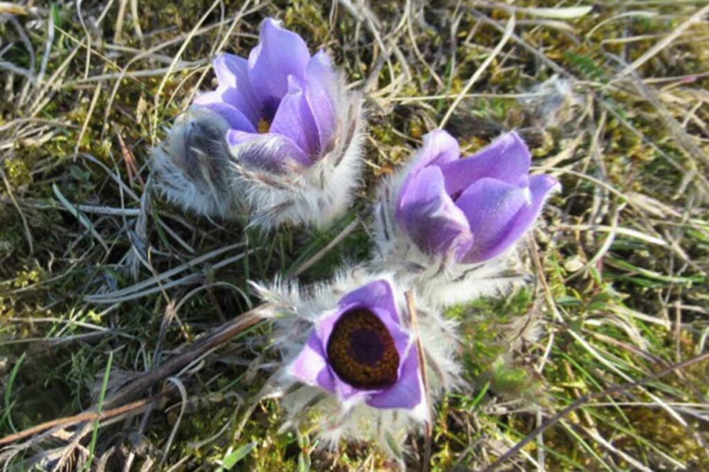 Wanderung - Schmücke