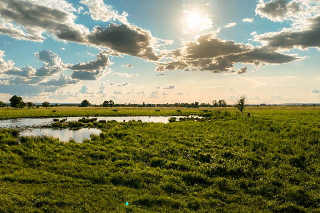 Tourismusverband Thüringer Becken - Naturwunder 2026 - Alperstedter Ried